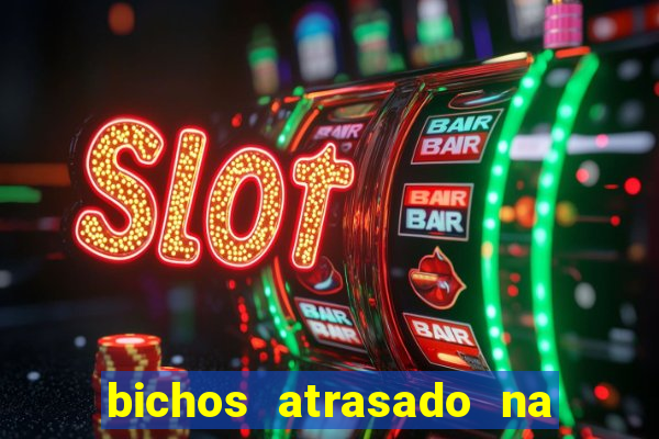 bichos atrasado na loteria dos sonhos